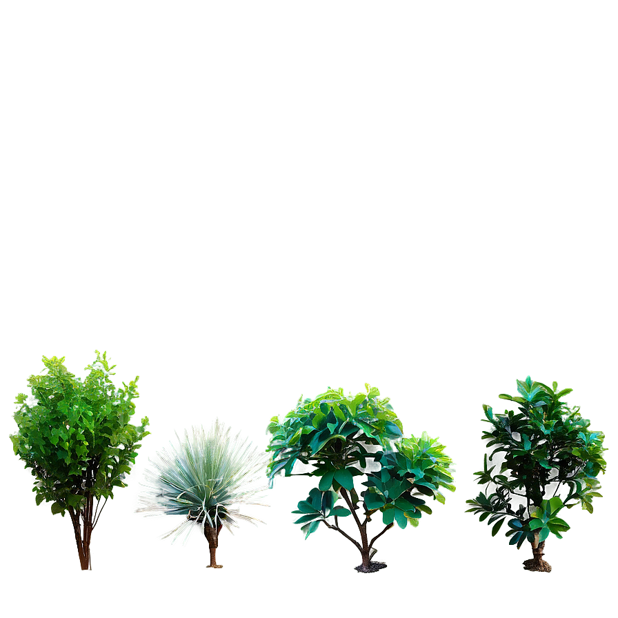 Small Shrubs PNG rdx PNG image with a transparent background, free high-resolution download