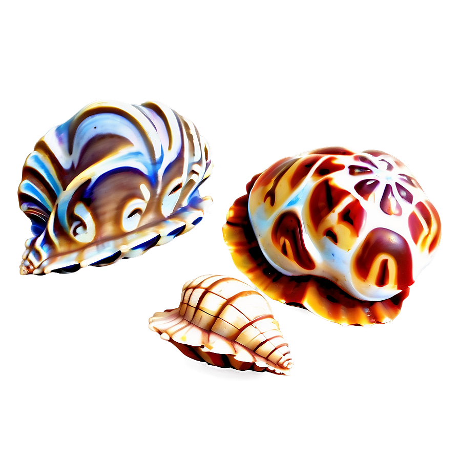 Small To Large Shells Png Ppx85