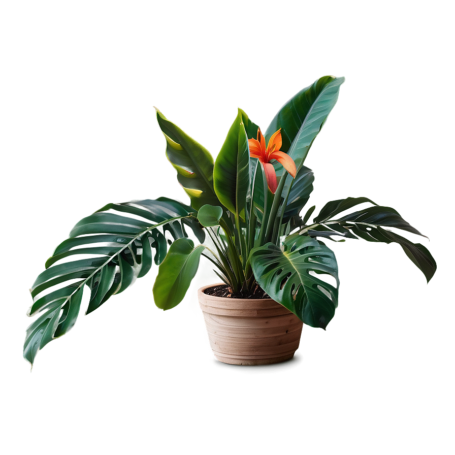 Small Tropical Plant Png Ekv