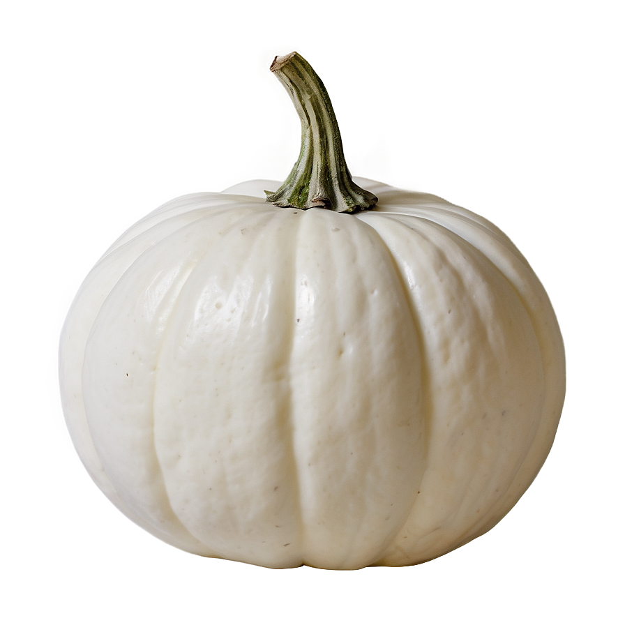 Small White Pumpkin Png 06212024