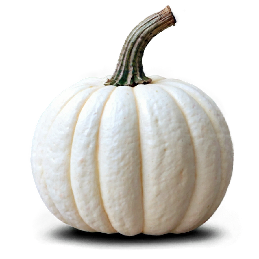 Small White Pumpkin Png Aow79