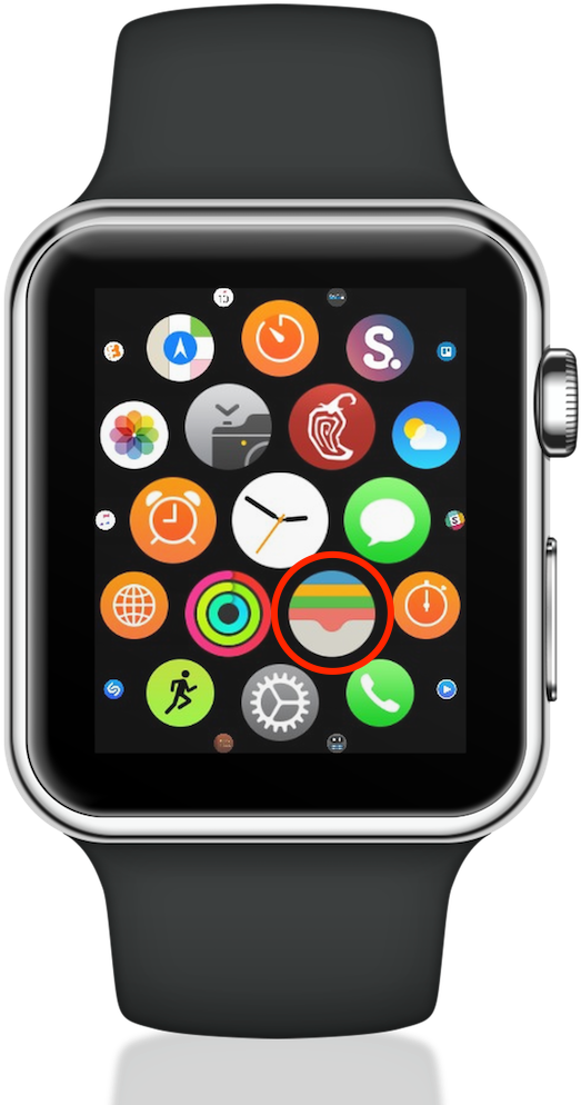 Smartwatch App Interface Display