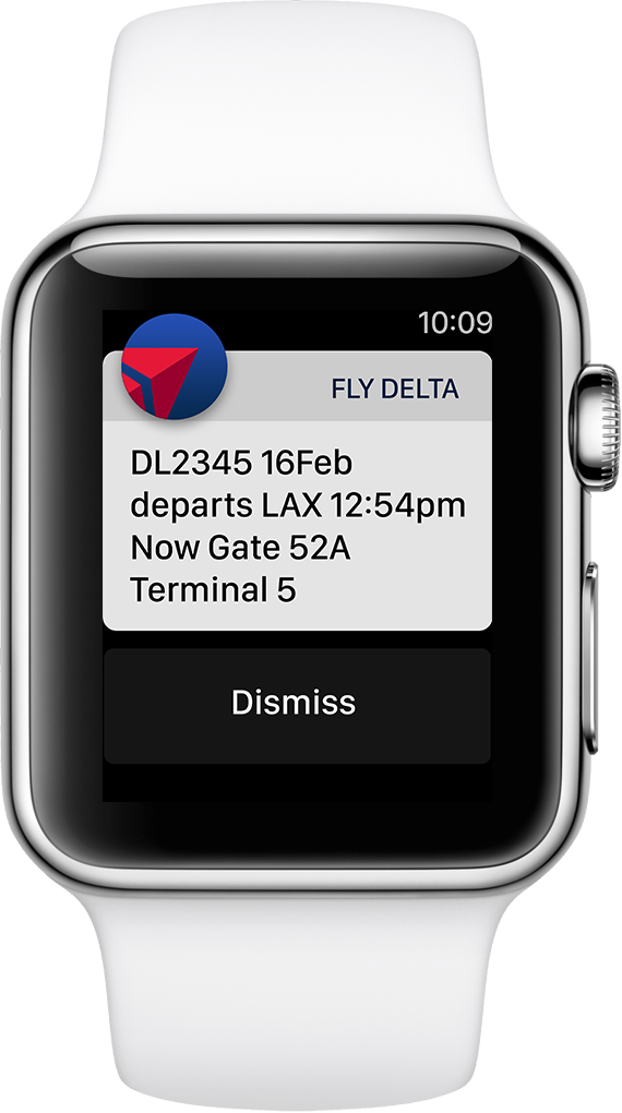 Smartwatch Flight Notification Display