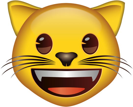 Smiling Cat Emoji.png