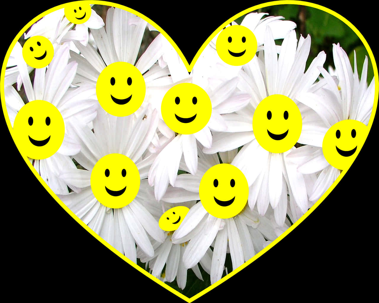 Smiling Flowersin Heart Shape