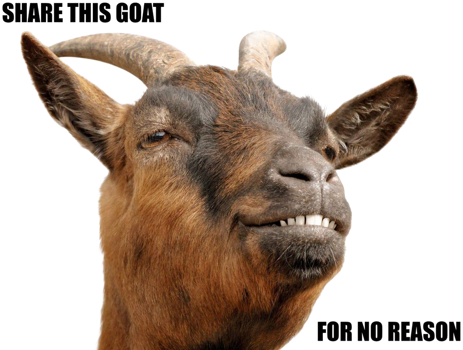 Smiling Goat Meme