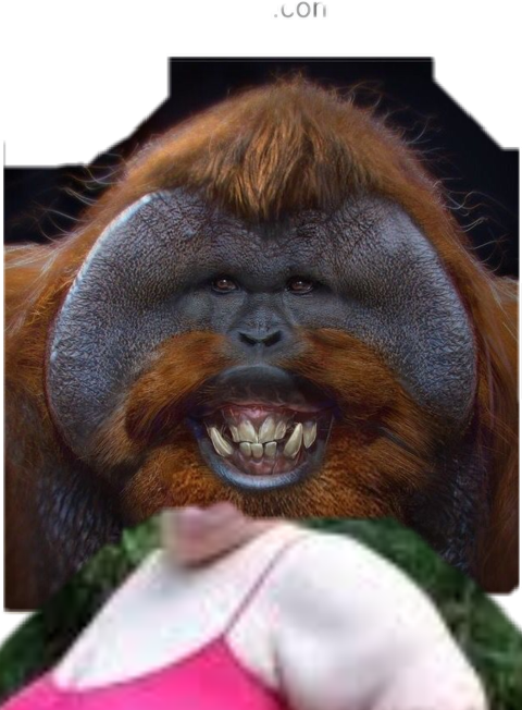 Smiling Orangutan Portrait