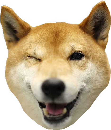 Smiling Shiba Inu Headshot