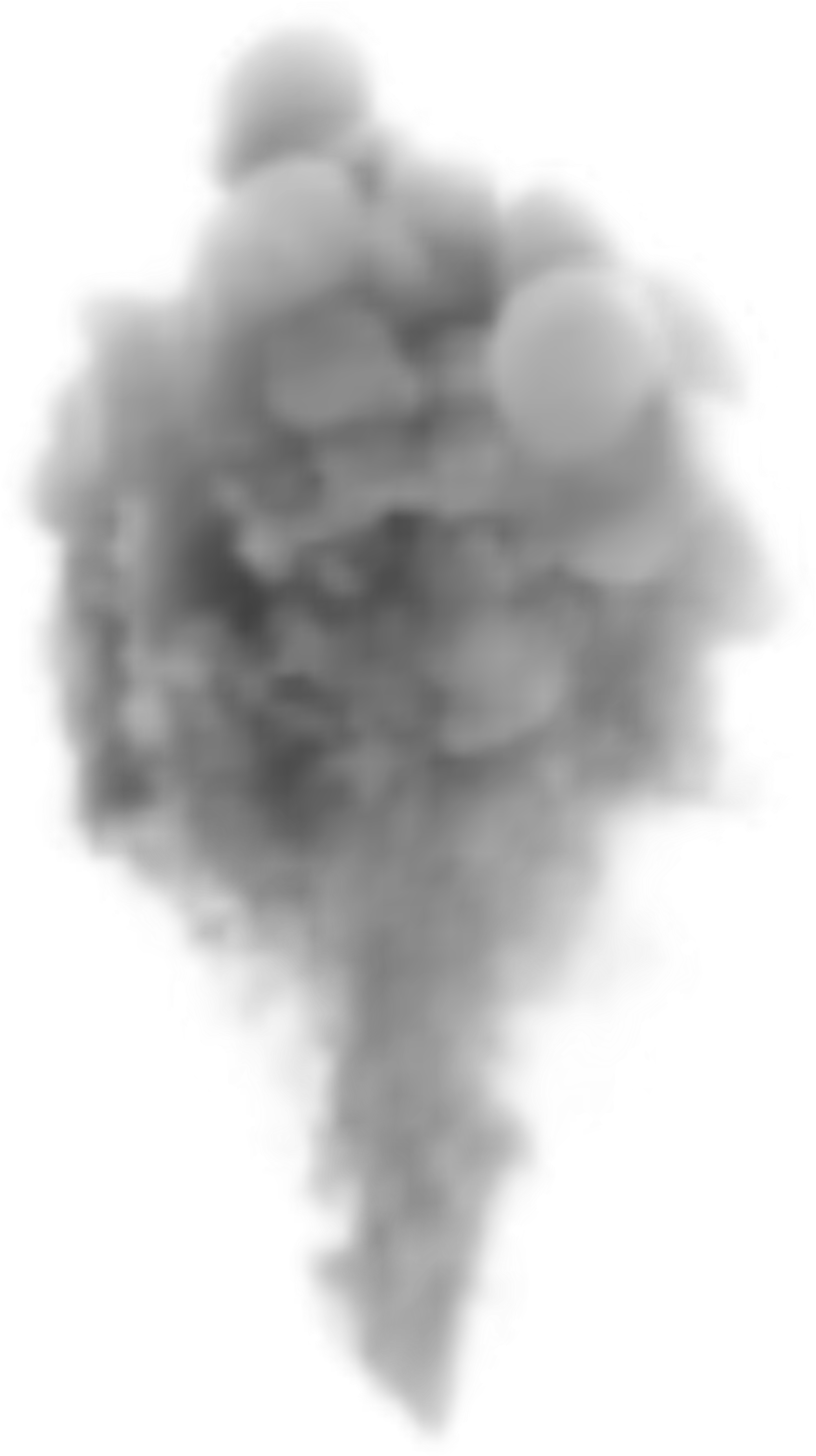 Smoke Plume Graphic No Smoking Context PNG image with a transparent background, free high-resolution download