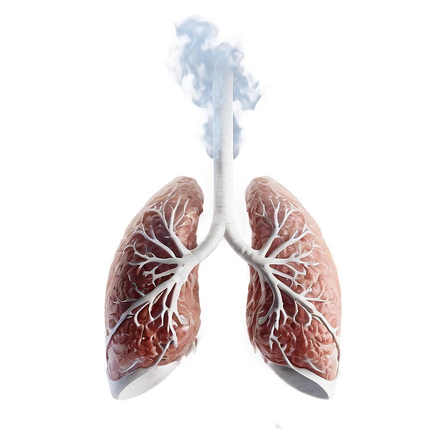 Smoker's Lungs Image Png Hjd83