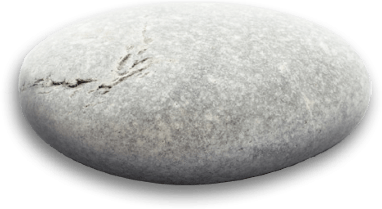 Smooth Oval Stonewith Markings