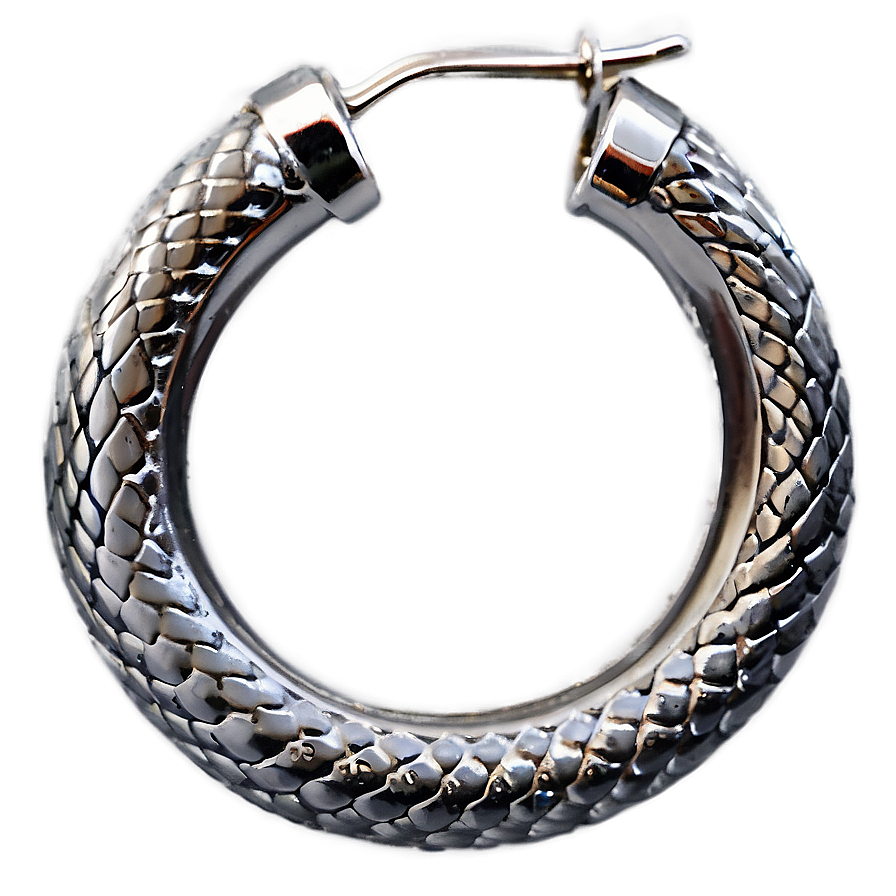 Snake Hoop Earring Png 06132024