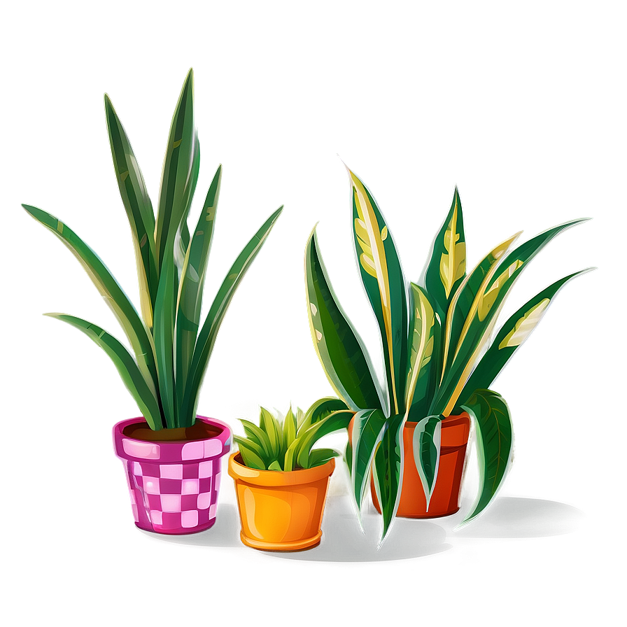 Snake Plant Clipart Png Bkc