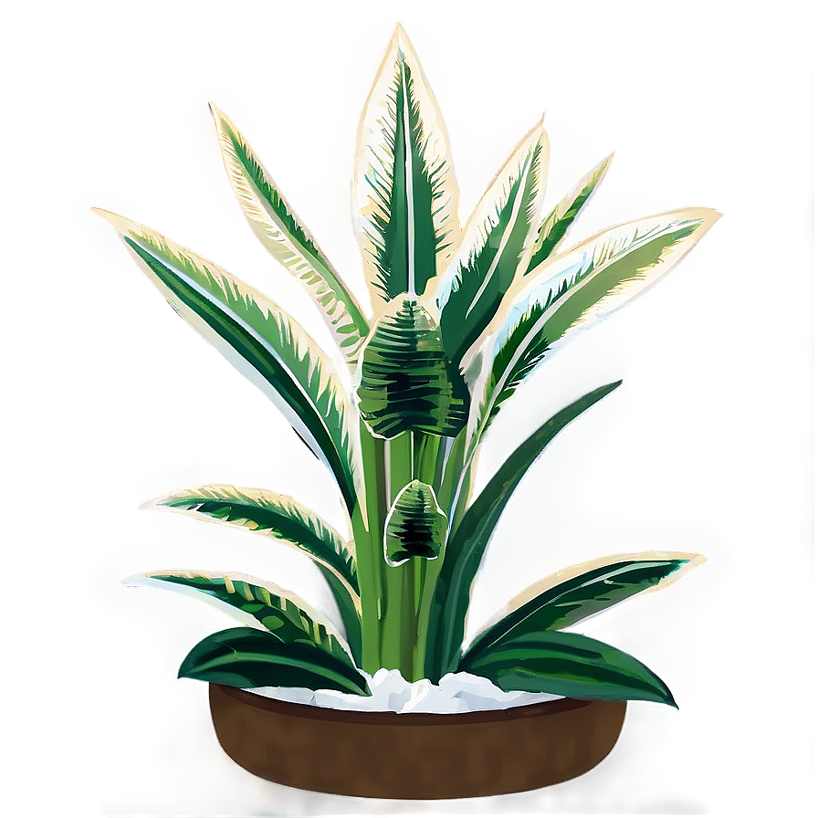 Snake Plant Illustration Png Ifm51