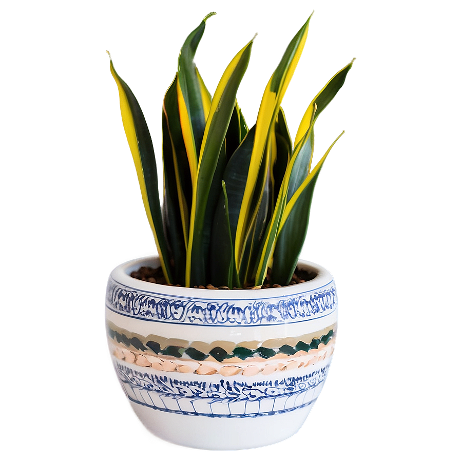 Snake Plant In Ceramic Pot Png Jmq94