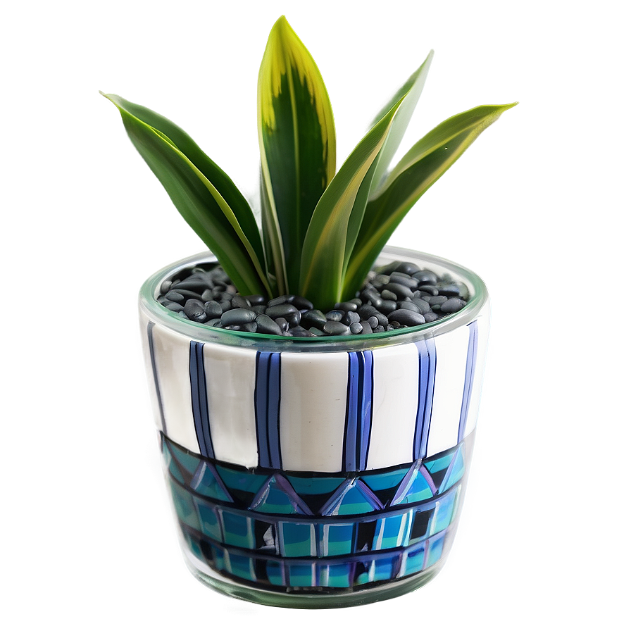 Snake Plant In Glass Pot Png Drd15