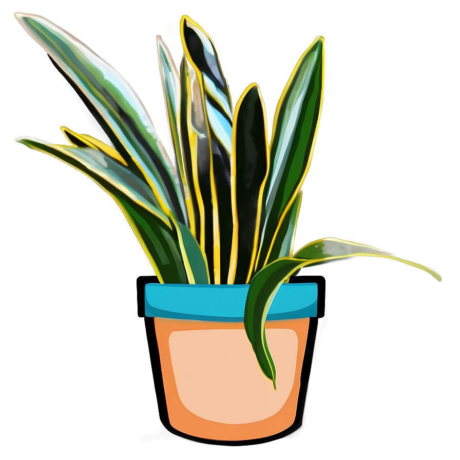 Snake Plant In Pot Png 41