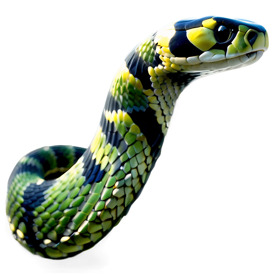 Snake Silhouette PNG ibw PNG with transparent background