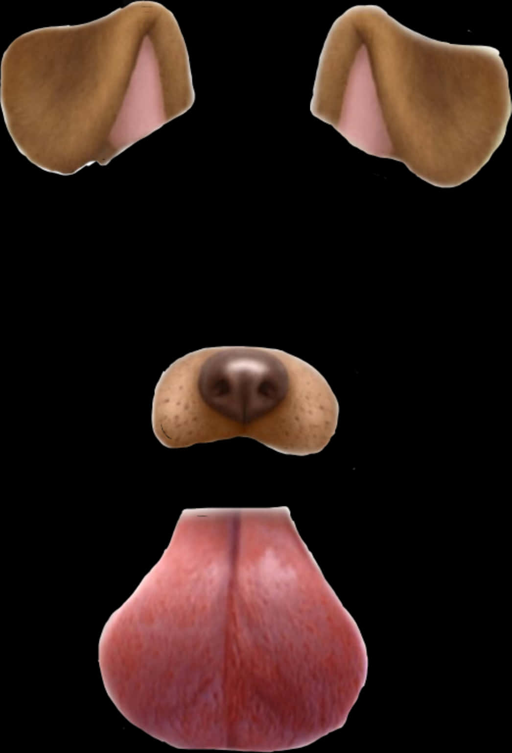 Snapchat Dog Filter Elements PNG with transparent background