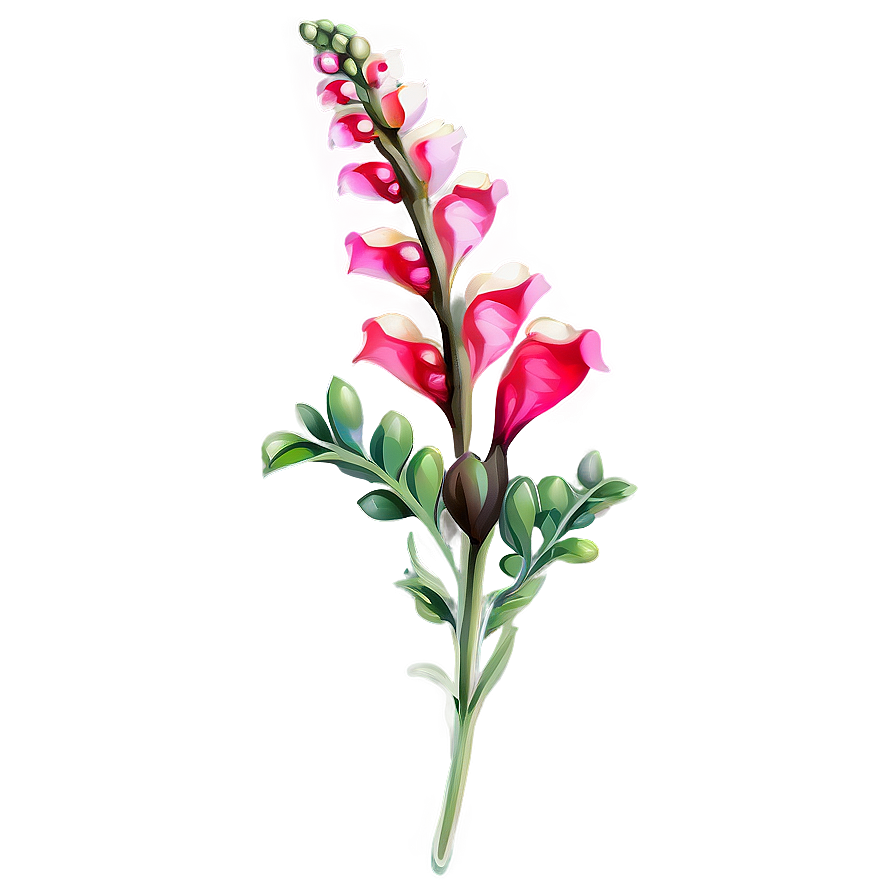 Snapdragon Flower Drawing Png 59