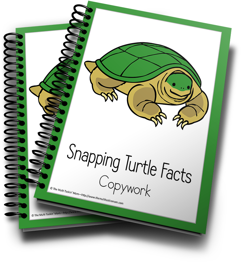 Snapping Turtle Facts Copywork Cover PNG with transparent background