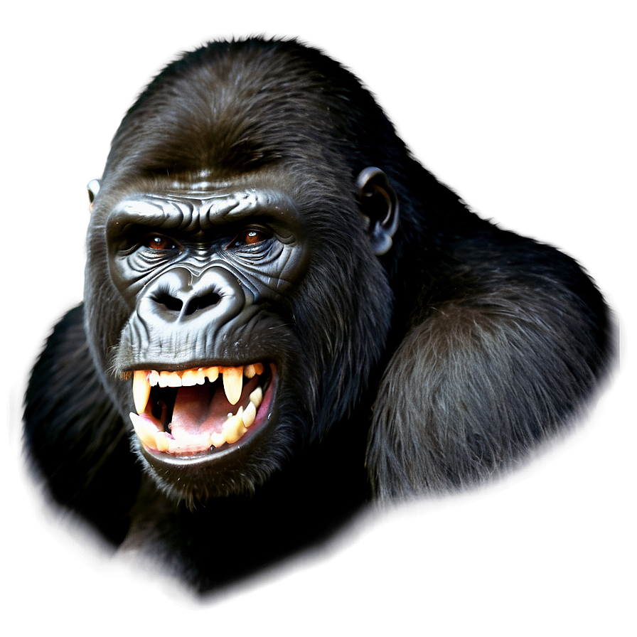 Snarling Gorilla Face Png 29