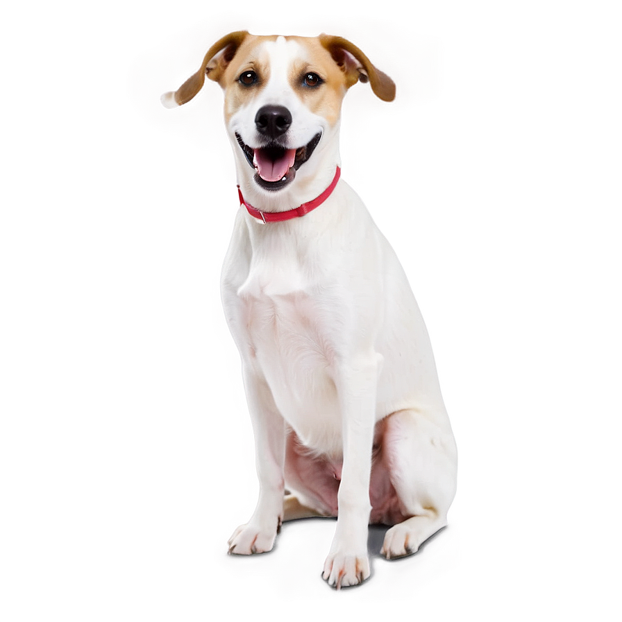 Snickering Dog Png Qeu19