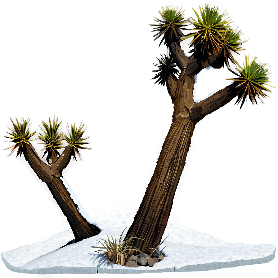 Snow-capped Joshua Tree Png Ypr