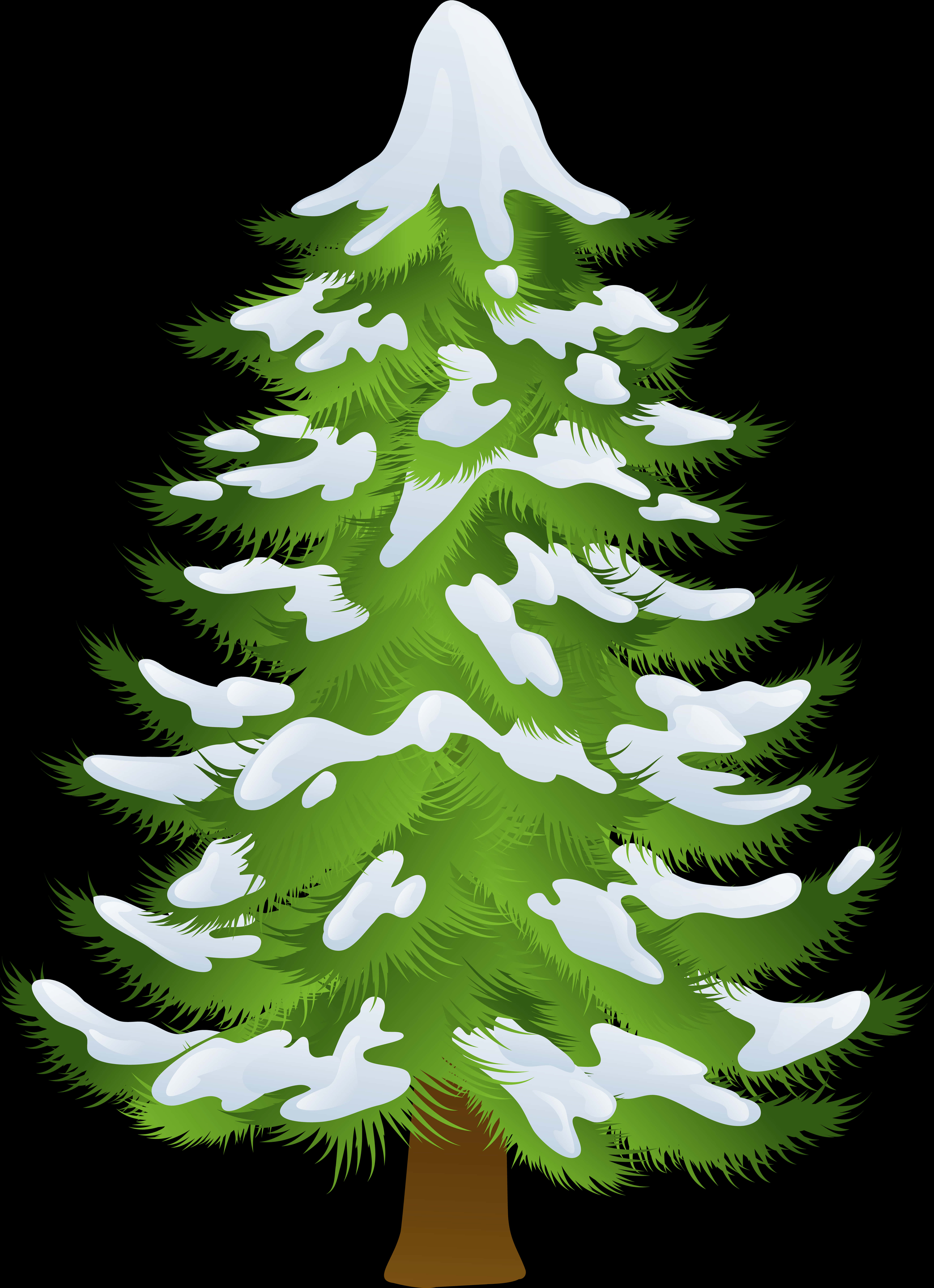 Snow Covered Pine Tree Illustration PNG image with a transparent background, free high-resolution download