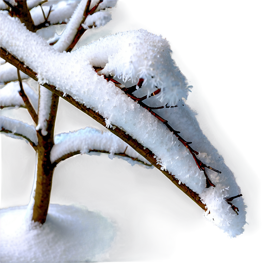 Snow Covered Tree Branch Png Mbm39