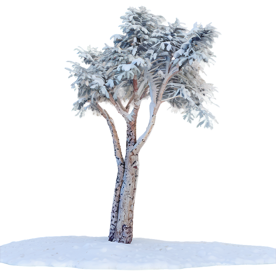 Snow Drift Trees Png 06292024