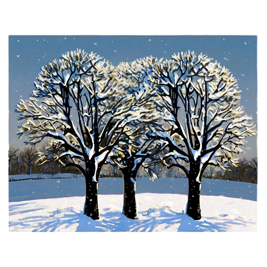 Snow Kissed Trees Png 06292024