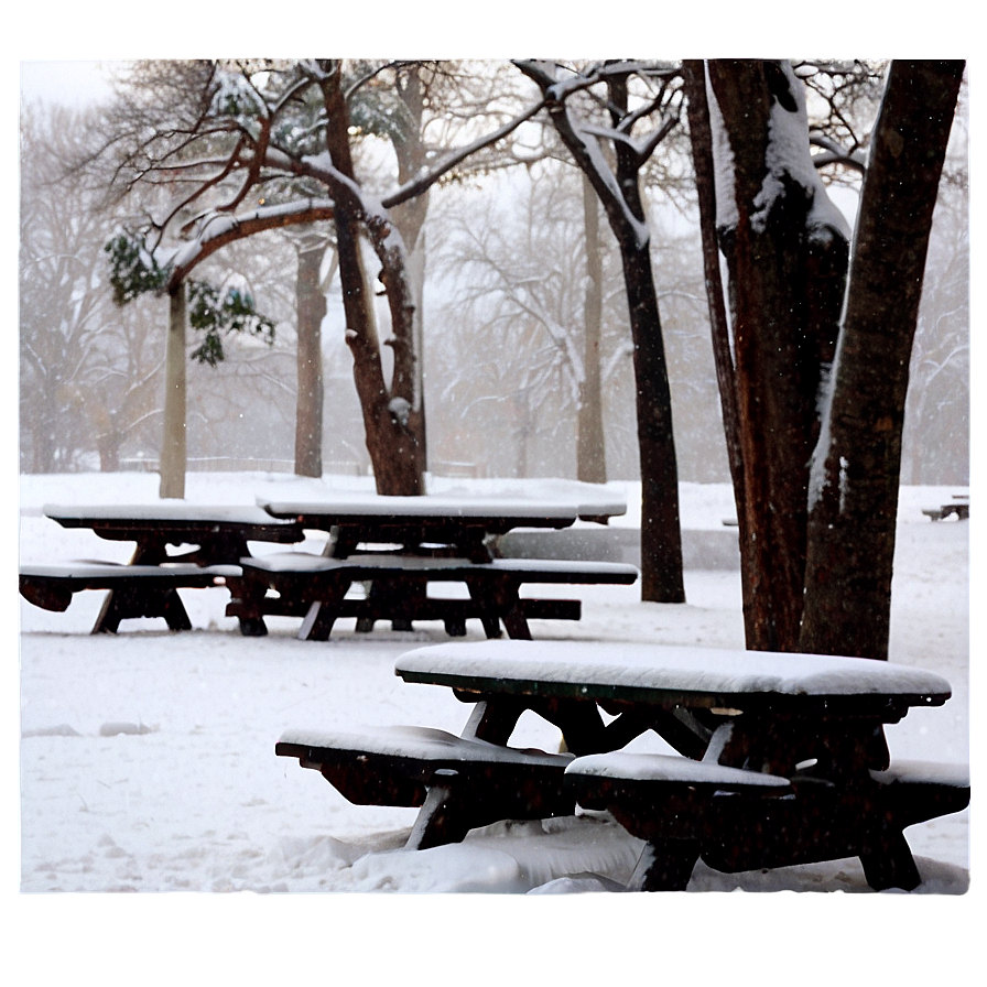 Snowfall Over Picnic Area Png 98