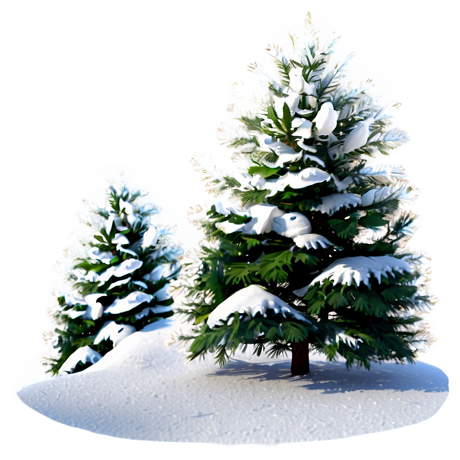 Snowy Evergreen Tree Png Cjr