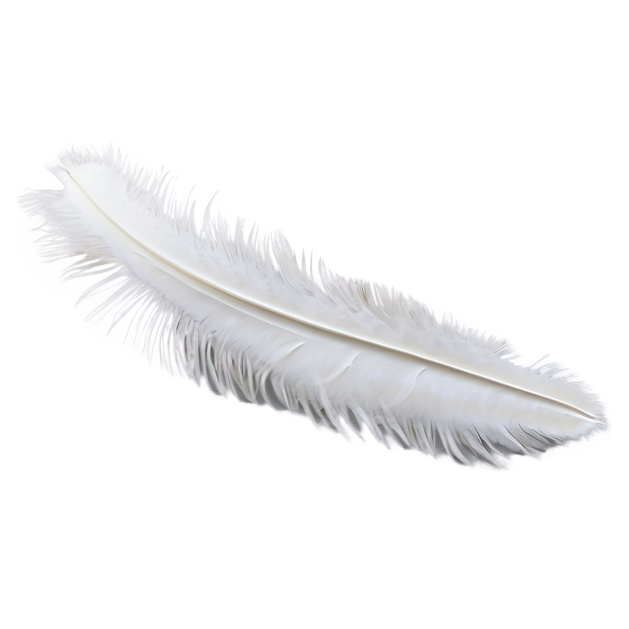 Snowy Owl Feather Png 54