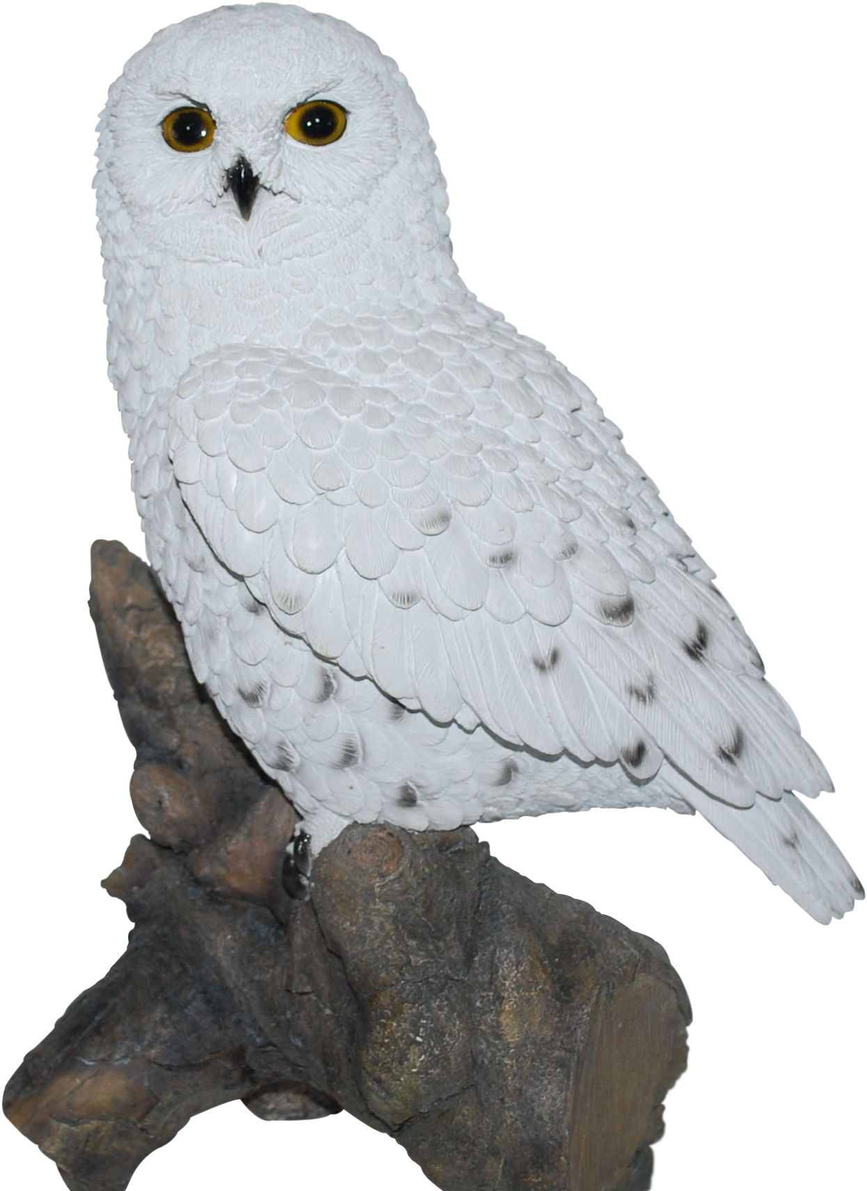 Snowy Owl Perchedon Branch