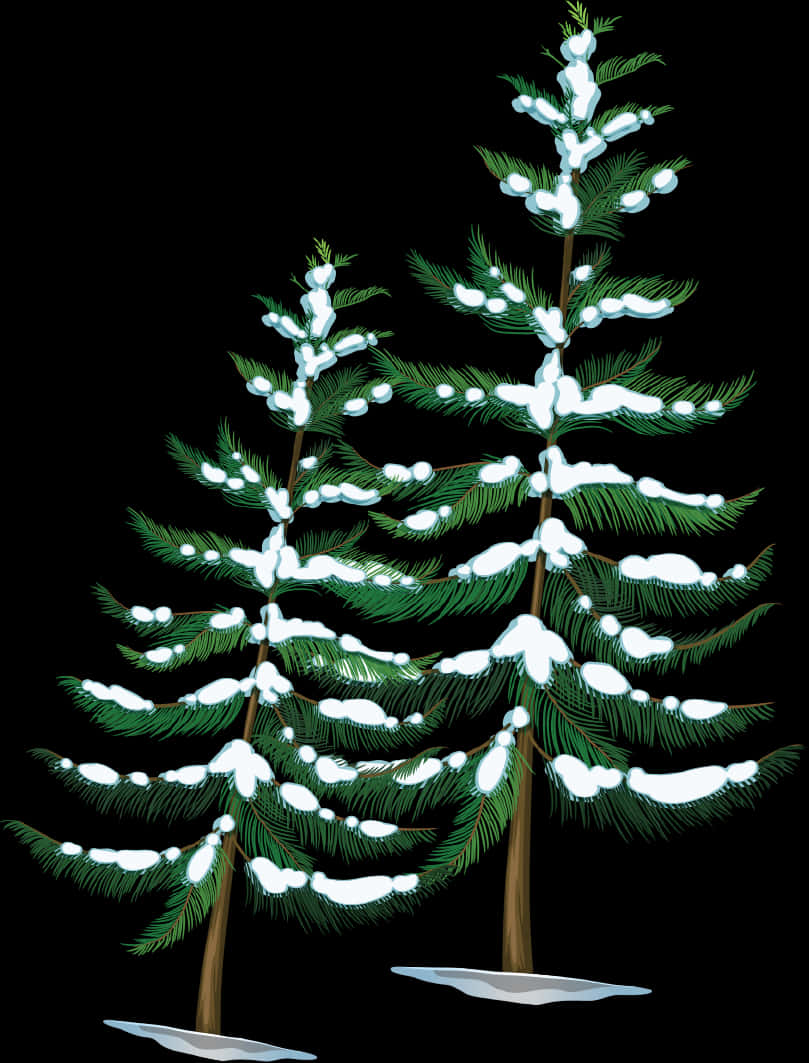 Snowy Pine Trees Night Illustration PNG image with a transparent background, free high-resolution download