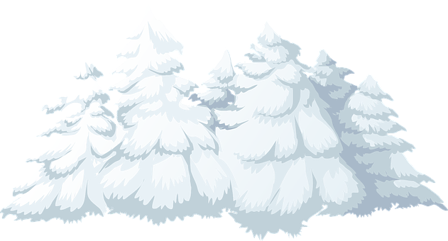 Snowy Pine Trees Vector Illustration PNG with transparent background