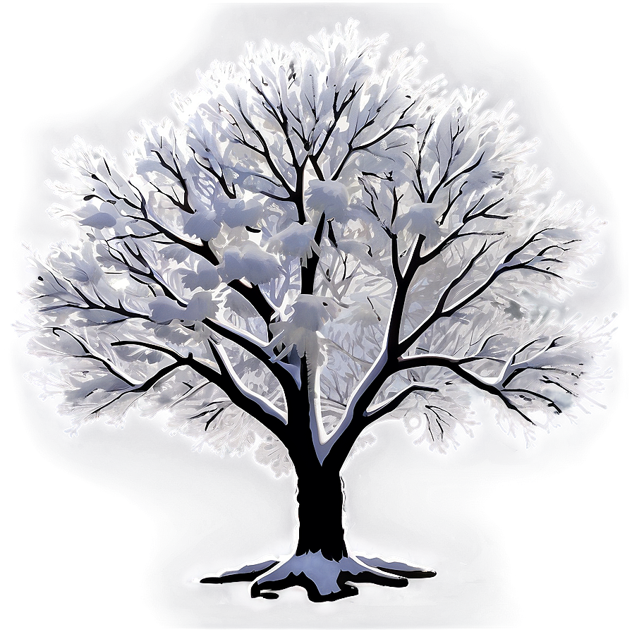 Snowy Poplar Tree Png 06272024