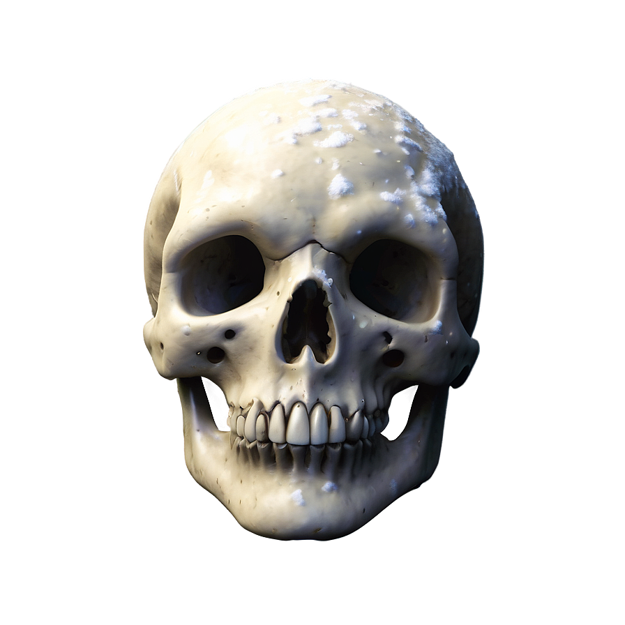 Snowy Skull Face Picture Png 81