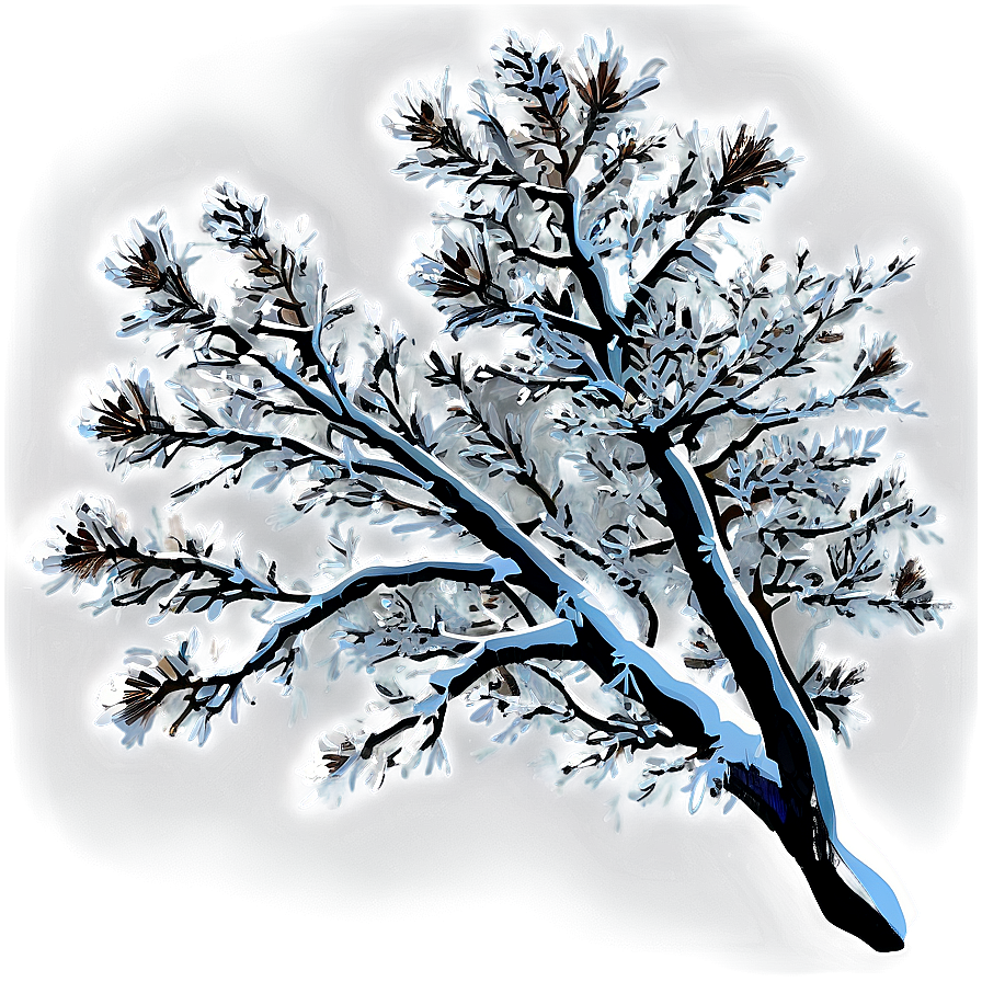 Snowy Tree Branches Png 06212024