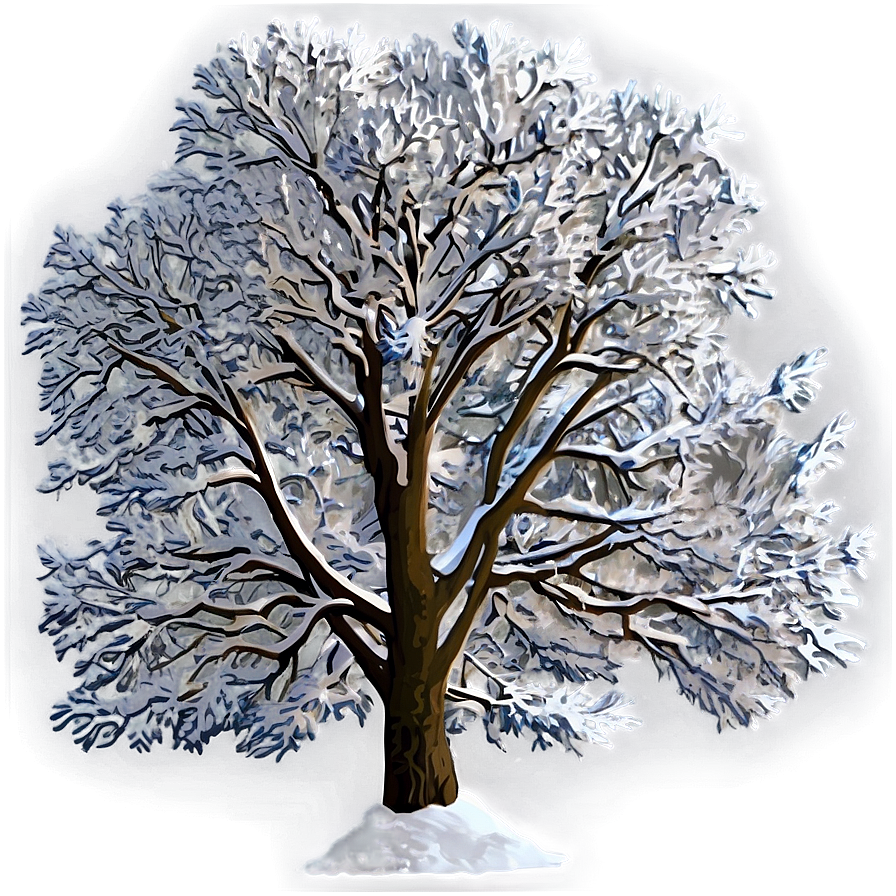 Snowy Tree In Field Png 06272024