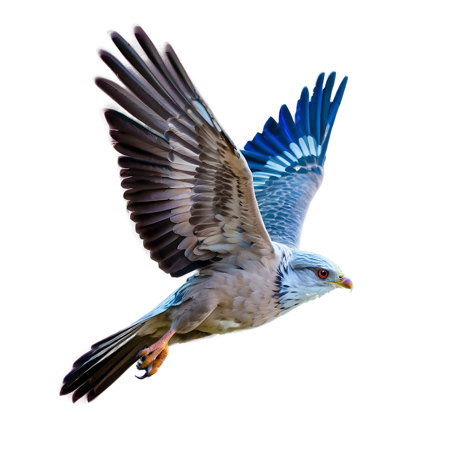 Soaring Bird Flight PNG 06252024 PNG with transparent background