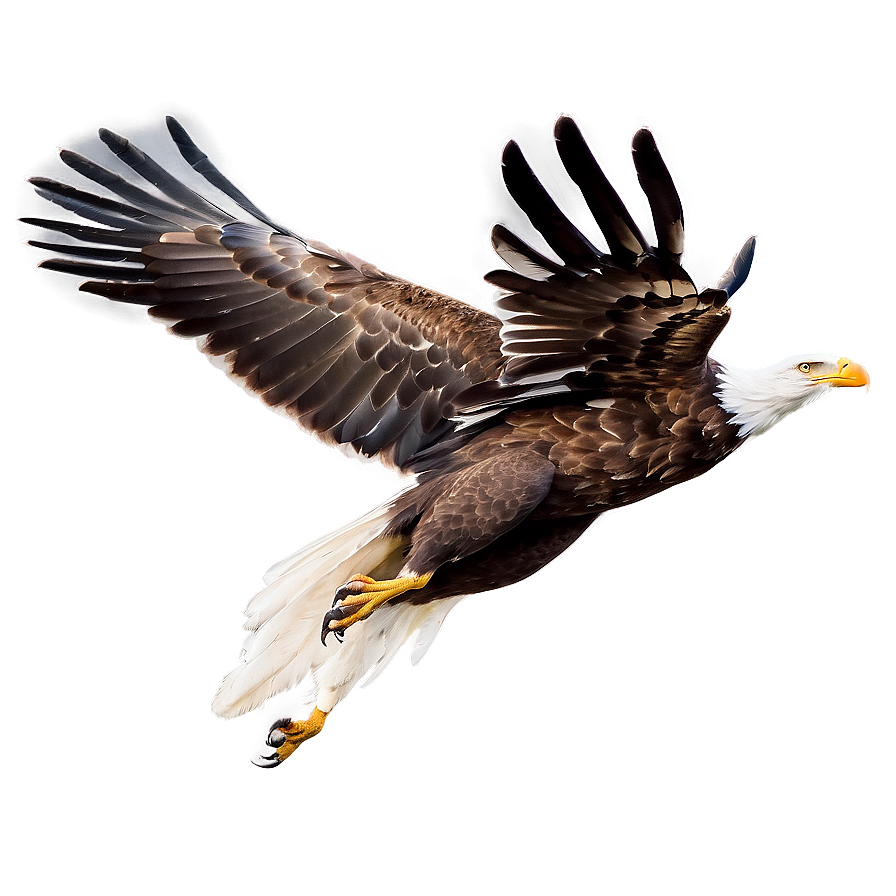 Soaring Eagle Flying Png Dll47