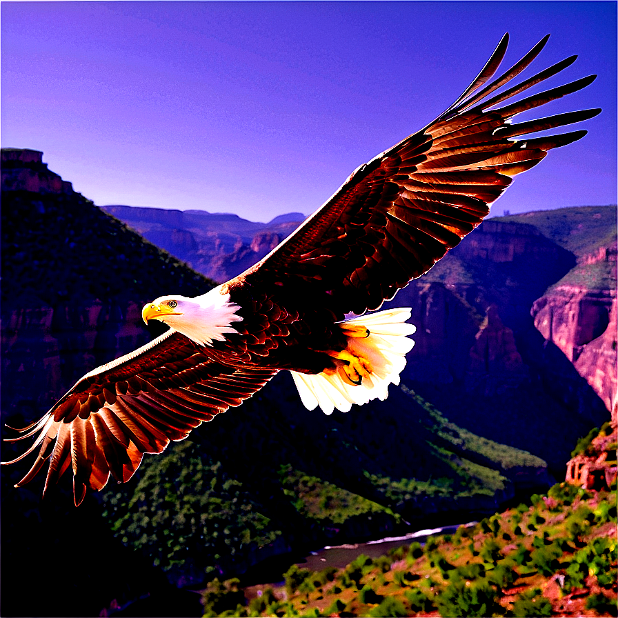 Soaring Eagles Above Canyon Png Wdr