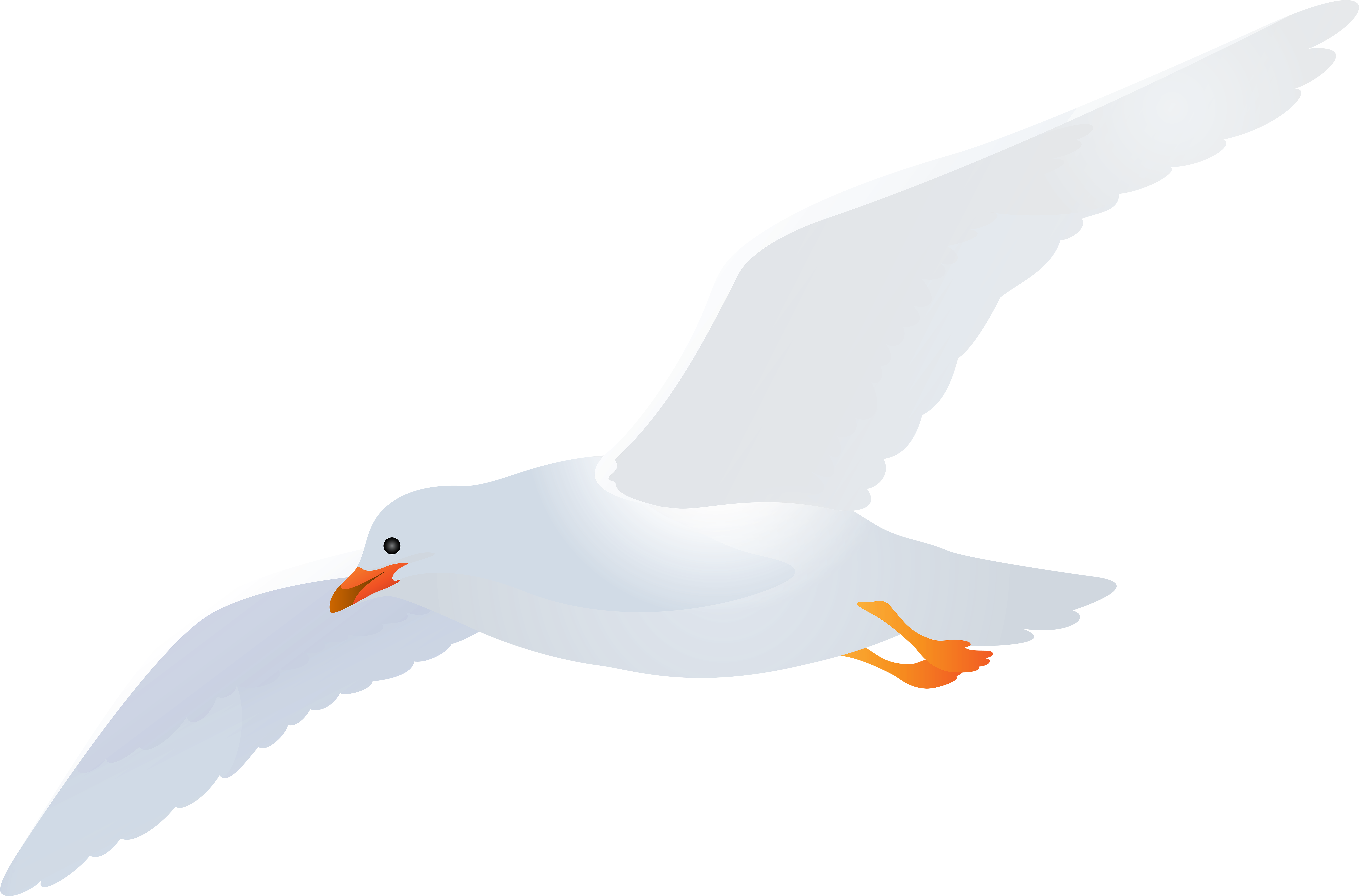 Seagull Clipart Png - Transparent Background Seagulls Clipart, Png Download PNG with transparent background