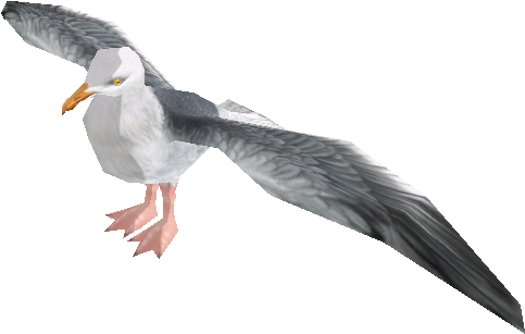 Zoo Tycoon Wiki - Zoo Tycoon 2 Seagull, HD Png Download PNG with transparent background