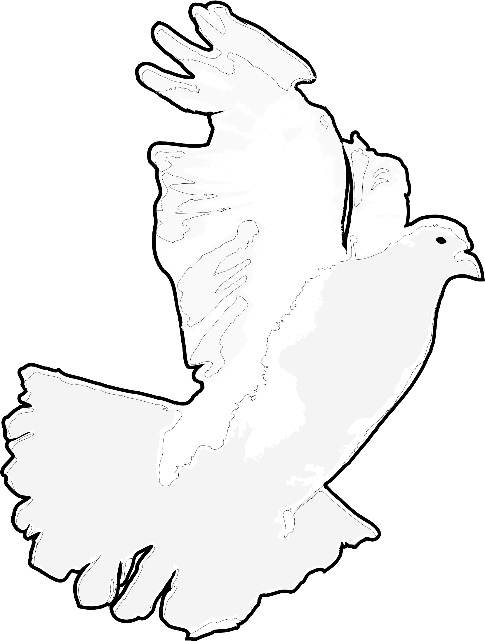 Soaring White Pigeon Illustration.png