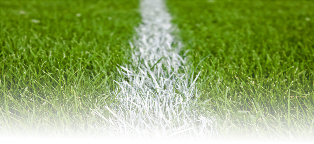 Soccer Field White Lineon Green Grass PNG with transparent background