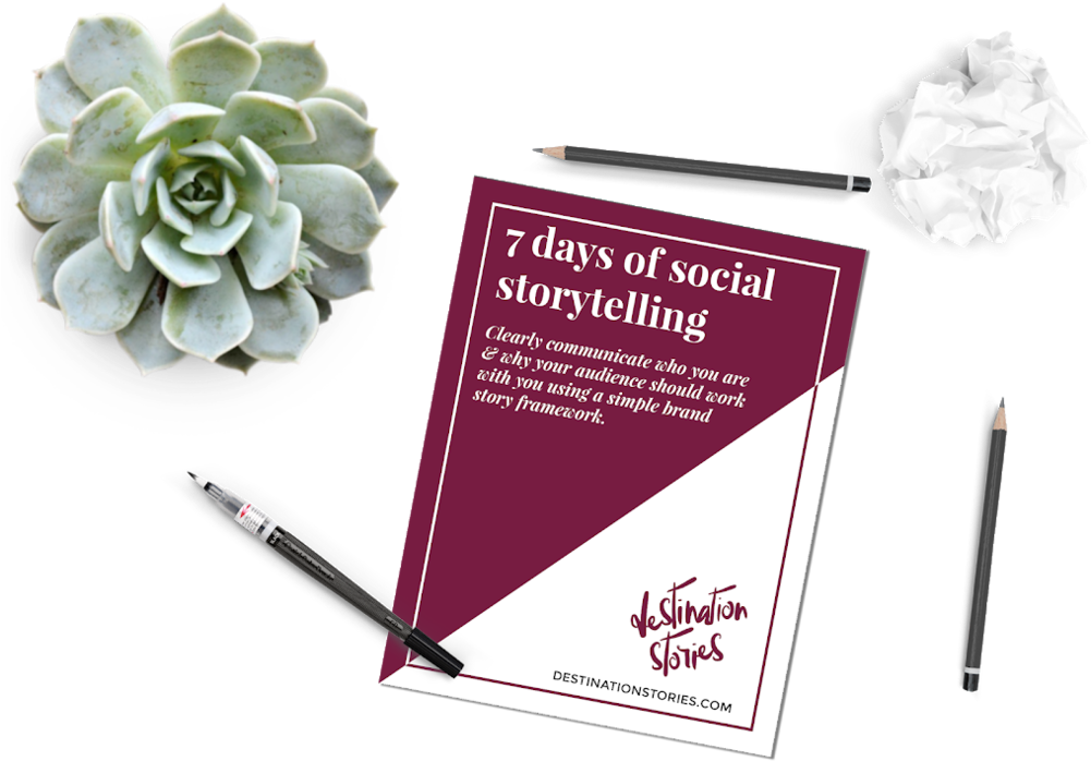 White Mexican Rose, HD Png Download PNG with transparent background